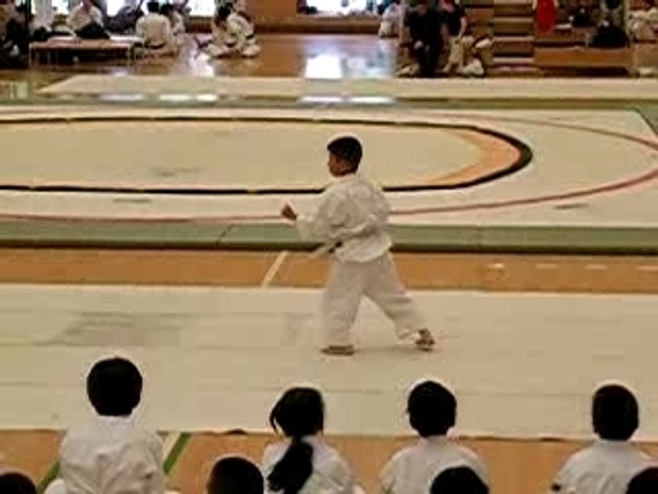 Japan176
