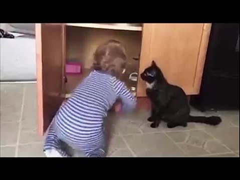 Funny Cat Playing With Kid -Soo Cute Must Watch-Top Funny Videos-Top Prank Videos-Top Vines Videos-Viral Video-Funny Fails