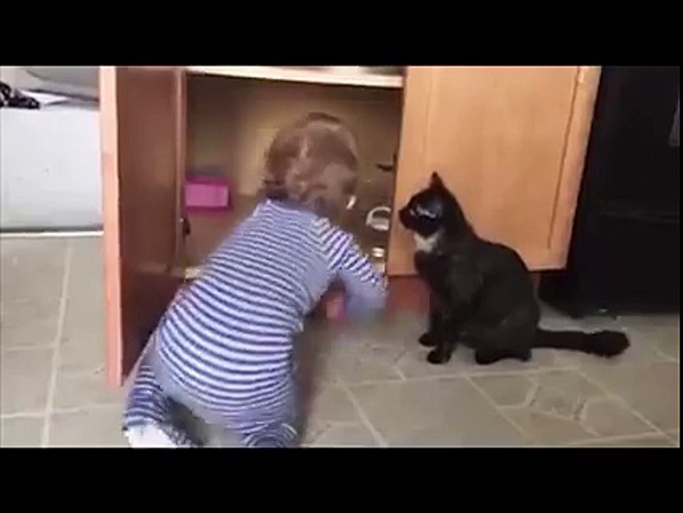 Funny Cat Playing With Kid -Soo Cute Must Watch-Top Funny Videos-Top Prank Videos-Top Vines Videos-Viral Video-Funny Fails