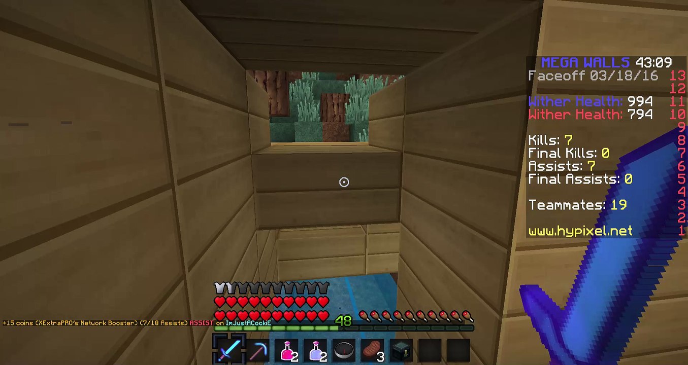 minecraft team griefer