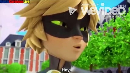 My Favorite Miraculous Ladybug Cracks and Shorts 1