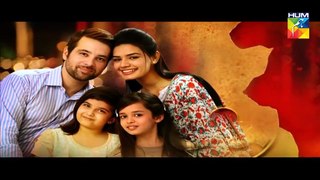 Maan - Episode 22 - HUM TV Drama - 18th March 2016