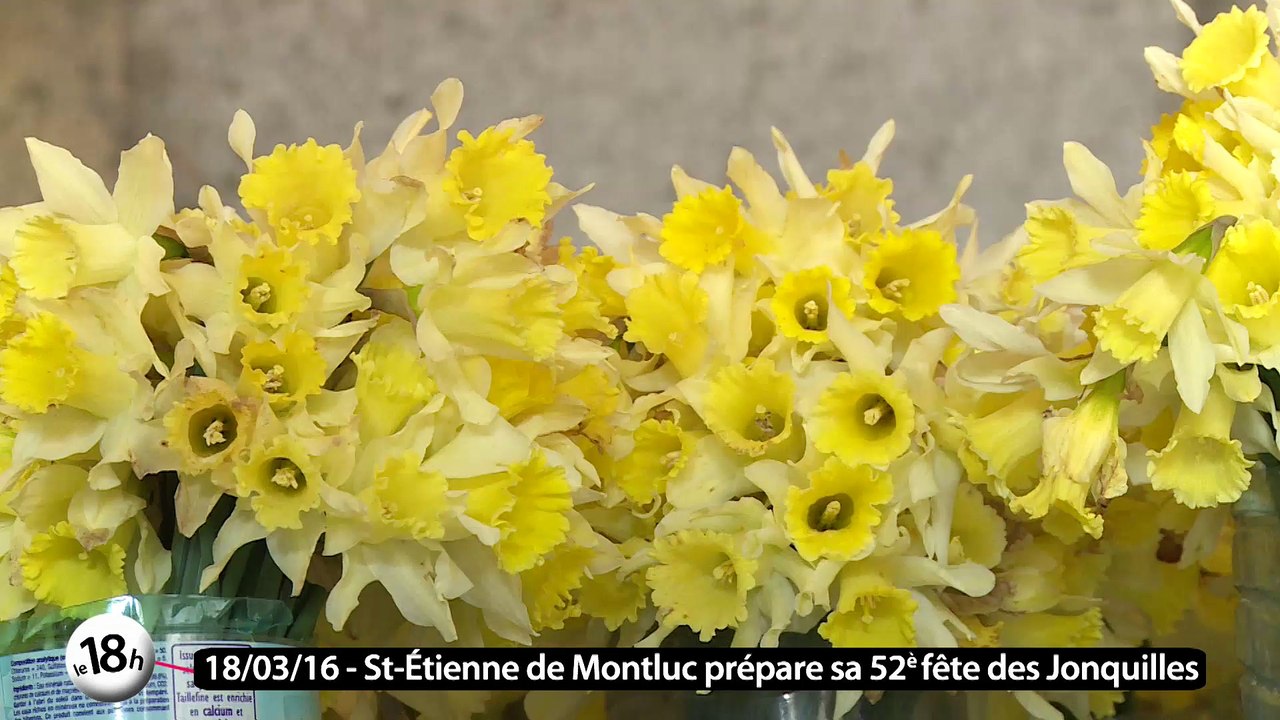 Le 18h de Télénantes : la fête des Jonquilles, c'est dimanche !