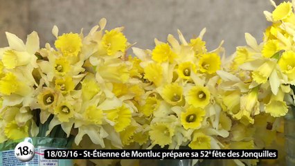 Le 18h de Télénantes : la fête des Jonquilles, c'est dimanche !