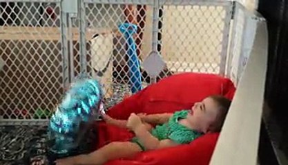 13 Hilarious Birthday Fails You Should Avoid