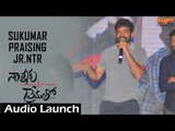 Sukumar Praising Jr. NTR || Nannaku Prematho Audio Launch || Rakul Preet || DSP