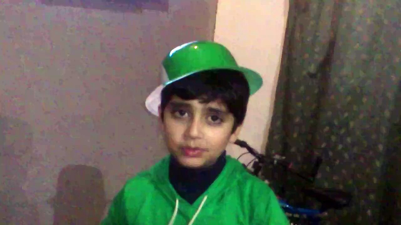 cricket fan