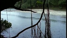 Amazonia documentary3265