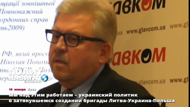 Мы над этим работаем – украинский политик о создании бригады Литва-Украина-Польша