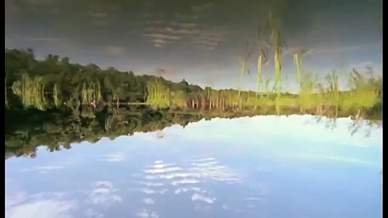 Amazonia documentary193