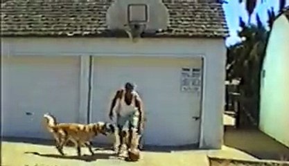 15 Animal Athletes Ready For March Madness