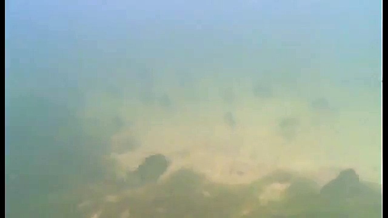 Amazonia documentary6625