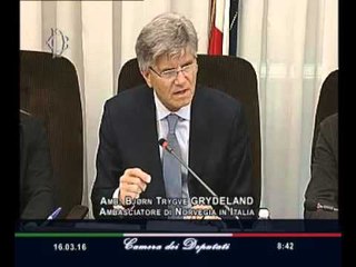 Roma - Audizione Grydeland, Ambasciatore di Norvegia in Italia (16.03.16)