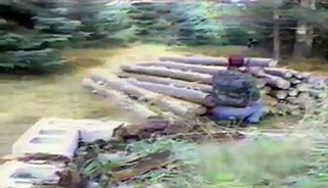 Speedy Deer Is Too Quick For This Hunter