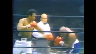 Muhammad Ali vs Earnie Shavers (Highlights)  Legendary Boxing