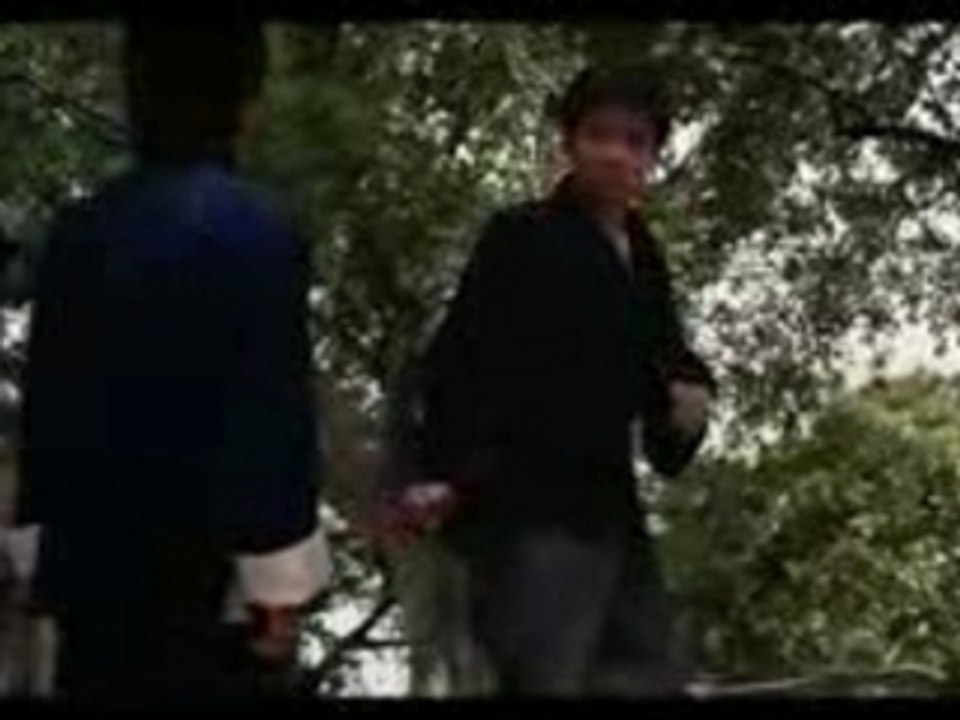 Dis bonjour Bruce Lee