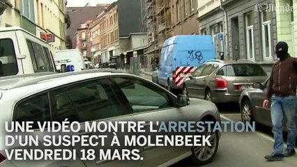 Une vidéo montre l'arrestation d'un suspect à Molen