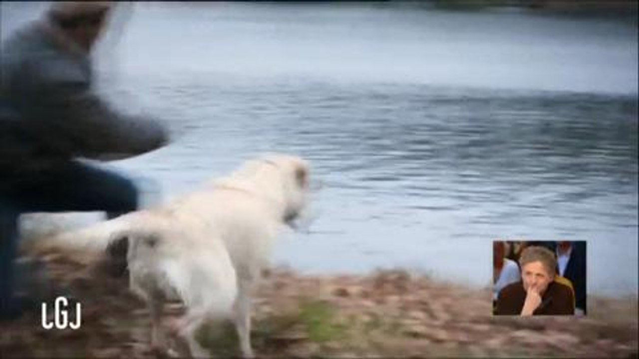 Stéphane Guillon défend Samy Naceri : "Il me touche"