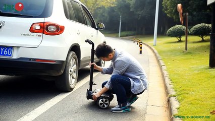 Segway. Z-robot.  Москва купить. Z-robot.