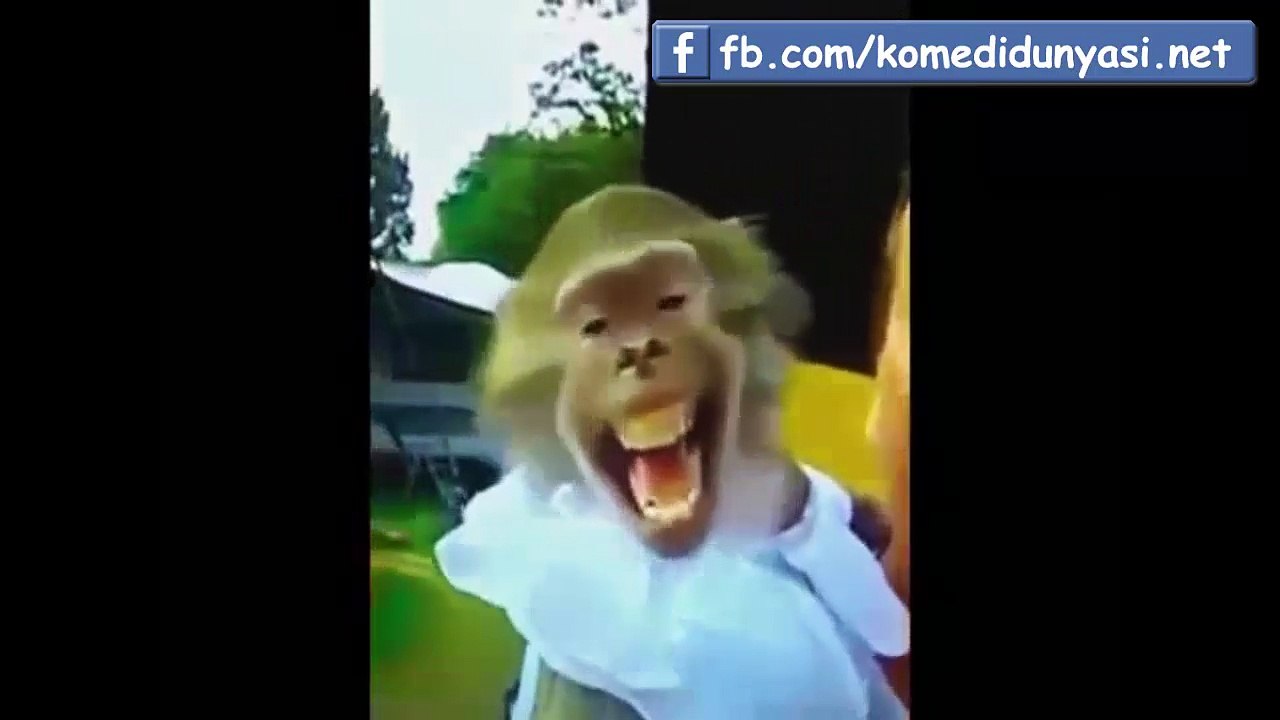Yeni Karışık Komik Dublaj (Vine Derleme )
