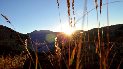 University Roommate Rage Prank - Ownage Pranks