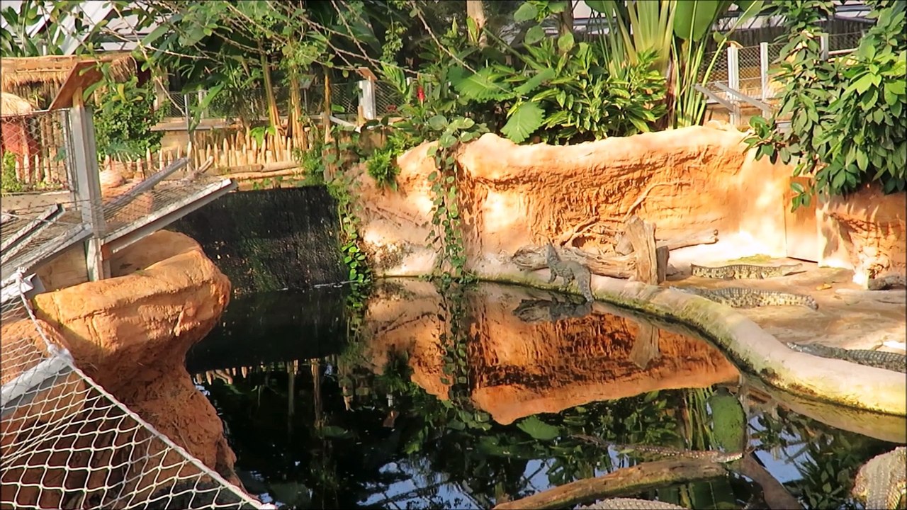 Planète des crocodiles à Civaux dans la Vienne