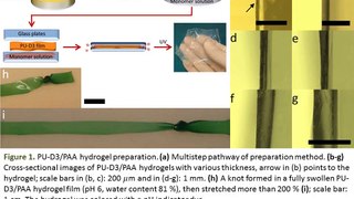 Thin, Tough, pH-Sensitive Hydrogel Films with Rapid Load Recovery