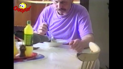 Funny Animals - Best of Parrots