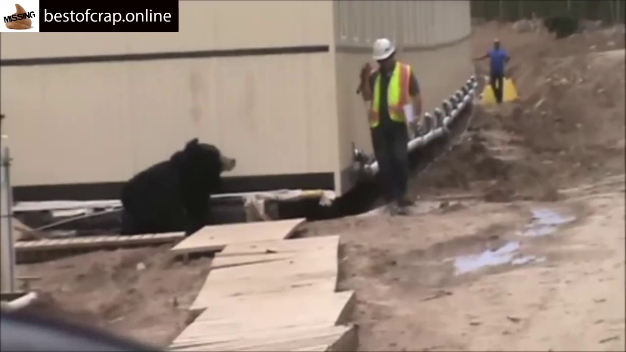 Awesome Bear Prank - Run Forest Run