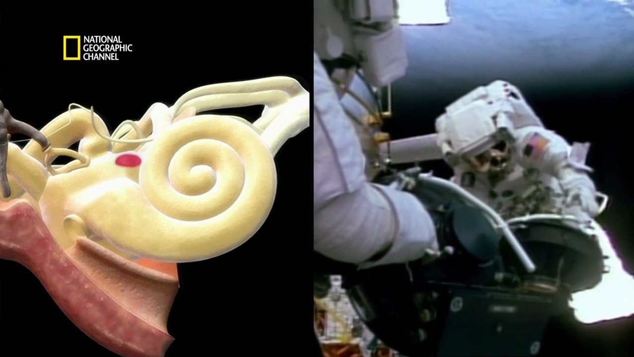 Les Mysteres De L'univers: Survie Dans L'espace