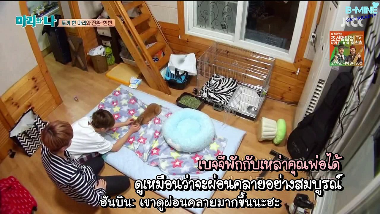 [ซับไทย] 160203 ฮันบินจินฮวานเลี้ยงกระต่าย (อีพีแปด - คัท)