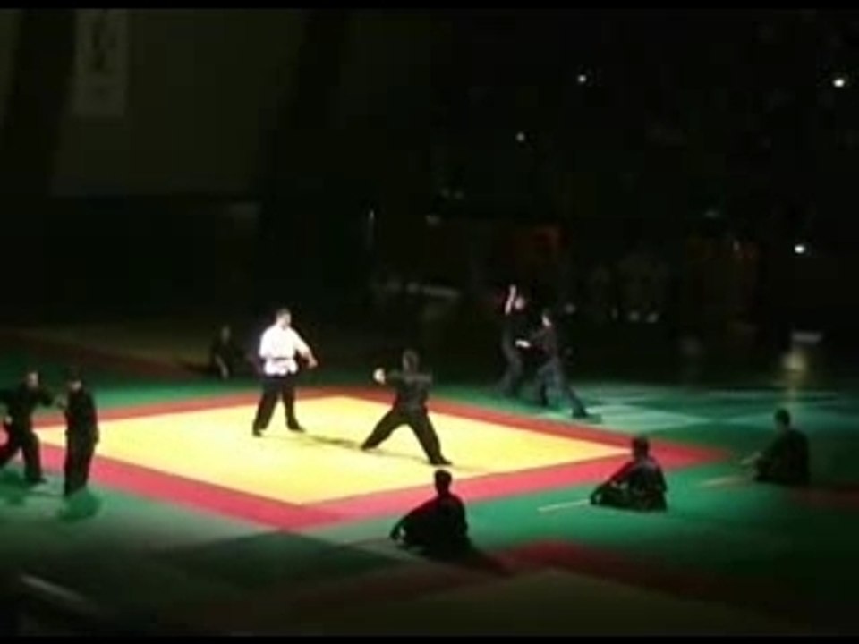 Démonstration - Ecole kung Fu la main de fer