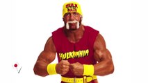 Hulk Hogan Wins Lawsuit Against Gawker Media
