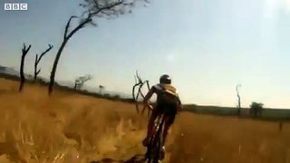 Leaping antelope brings down cyclist in South Africa