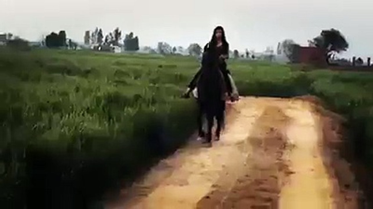 Kaur B Horse