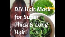 DIY Hair Pack For Thicker Hair