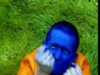 Clip J'ai avalé une mouche des Wampas