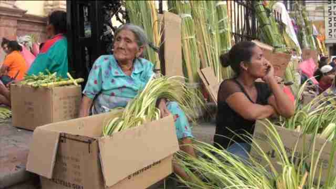 Campesinos en Honduras preparan las palmas para el Domingo de Ramos