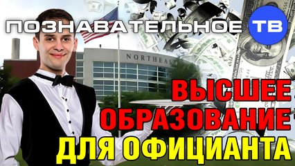 Высшее образование для официанта (Познавательное ТВ, Виктория Бутенко)