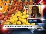ayvanın faydaları zararları nelerdir kalorisi ayva suyunun cilde faydaları çekirdeğinin ne işe yarar