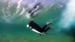 Australia's Deadliest Shark Coast documentary films HD(90