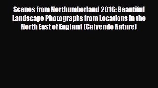 Download Scenes from Northumberland 2016: Beautiful Landscape Photographs from Locations in