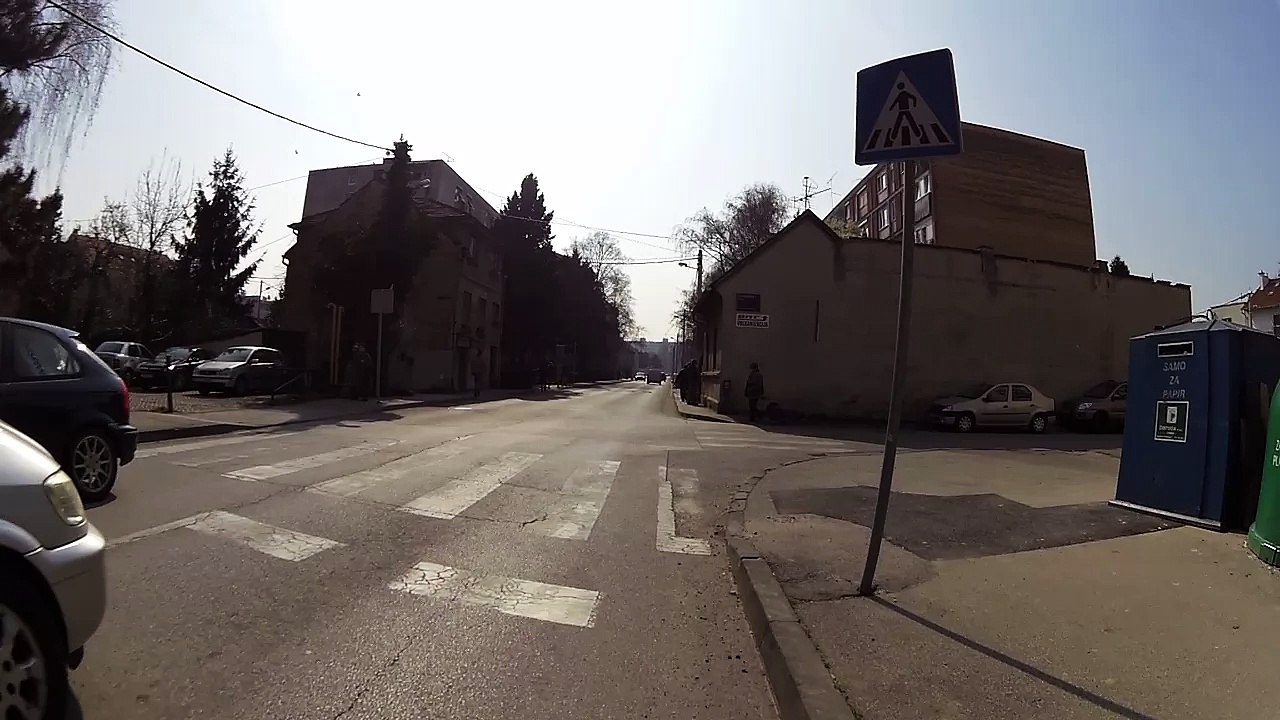 2016-03-19 pjesak izlijece na cestu