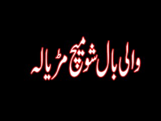 shooting wali ball show match at marryala jhelum 2016