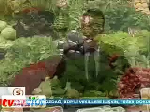 implant diş fiyatları nedir nasıl yapılır ne demek ne kadar ücretleri protez diş video nasıl yapılır