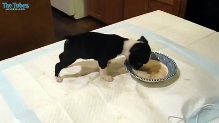 Тяжёлая голова _)))