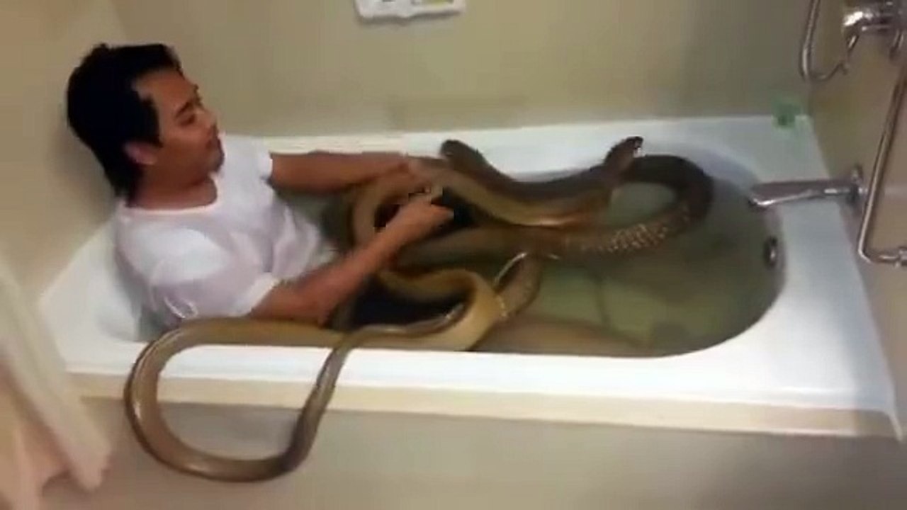 A man try to kiss the snake and amazing reaction