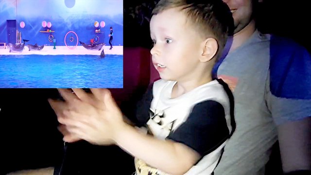 Дельфинарий Дубаи _ Шоу дельфинов