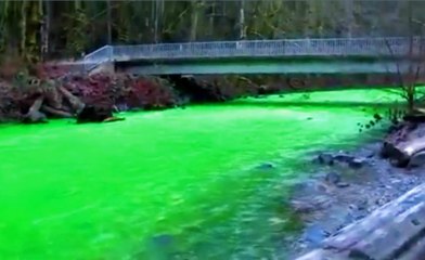 Nehrin Rengi Bir Günde Yeşile Döndü