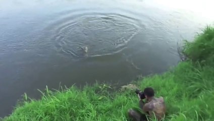 Crocodile Attacking on Photographer